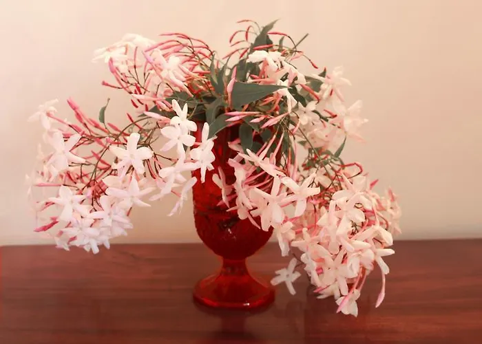 Pensionat Quinta Malvas - Quinta De Santa Luzia 4*