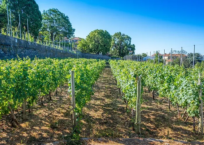 Pensionat Quinta Malvas - Quinta De Santa Luzia
