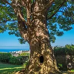 Quinta Malvas - Quinta De Santa Luzia Gæstehus Funchal (Madeira)