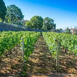 Gæstehus Quinta Malvas - Quinta De Santa Luzia