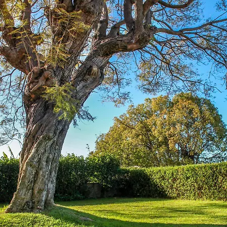 Quinta Das Malvas - Quinta De Santa Luzia 4*