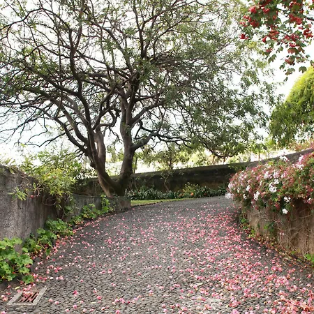 Quinta Das Malvas - Quinta De Santa Luzia 4* Funchal (Madeira)