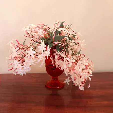 Casa de hóspedes Quinta Malvas - Quinta De Santa Luzia 4*