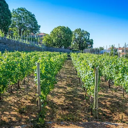 Gæstehus Quinta Malvas - Quinta De Santa Luzia