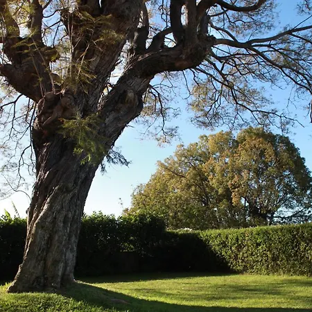 Quinta Malvas - Quinta De Santa Luzia 4*