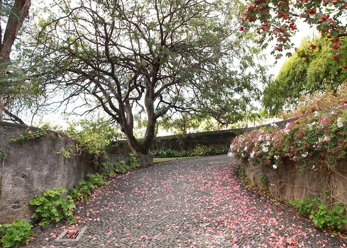 Quinta Malvas - Quinta De Santa Luzia Konukevi