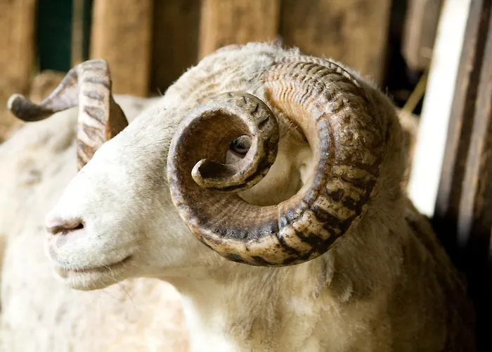 Maison d'hôtes Quinta Malvas - Quinta De Santa Luzia