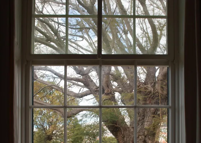 Quinta Malvas - Quinta De Santa Luzia Maison d'hôtes Funchal (Madeira)