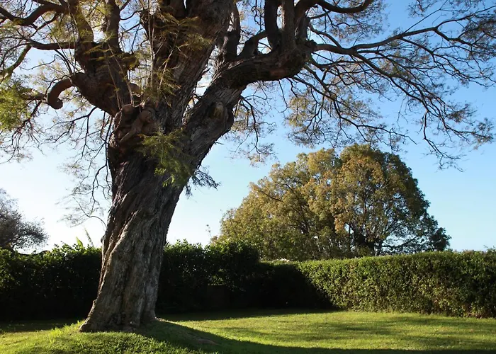 Quinta Das Malvas - Quinta De Santa Luzia 4*