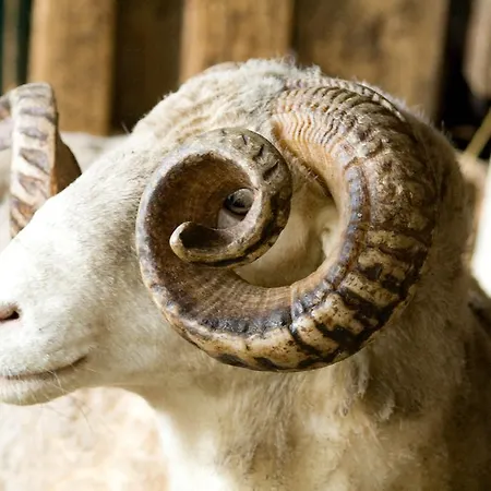 ゲストハウス Quinta Malvas - Quinta De Santa Luzia